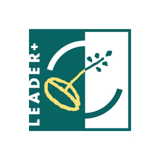 Leader +