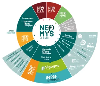 Des données de qualité pour une base naturaliste scientifique