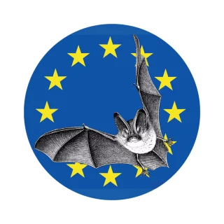 Les Nuits internationales de la Chauve-souris