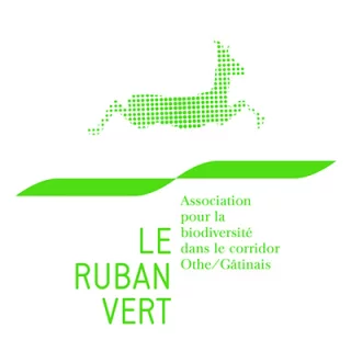 Le ruban vert