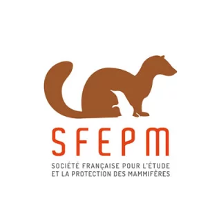 SFEPM