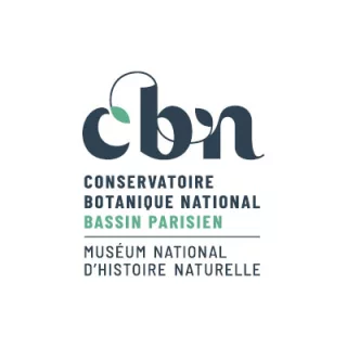 CBN BP