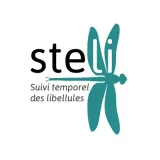 Déclinaison du STELI