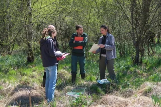 Formation Bécasse des bois