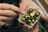 Plus de 420 espèces de champignons présentées
