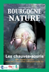 Les chauves-souris