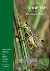 Orthoptères en Bourgogne-Morvan