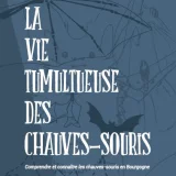 Exposition sur les chauves-souris