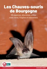Les Chauves-souris de Bourgogne