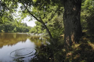 Visite guidée de l'arboretum de Pézanin