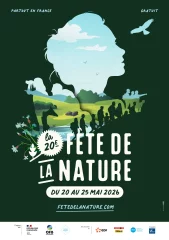 Découvertes des insectes aquatiques