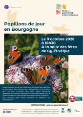 Papillons de jour en Bourgogne