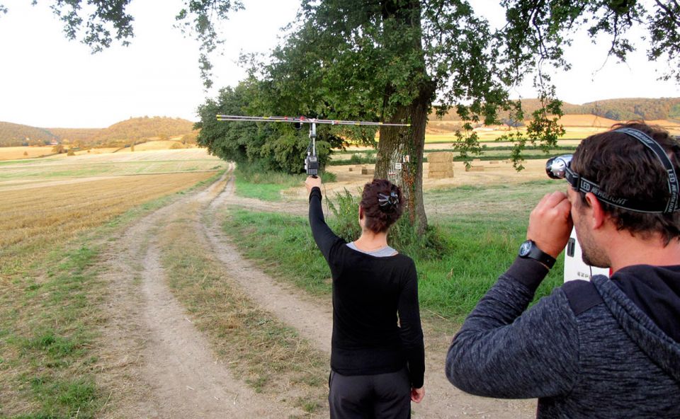 Suivi du Grand rhinolophe par télémétrie dans le Clunisois © SHNA-OFAB