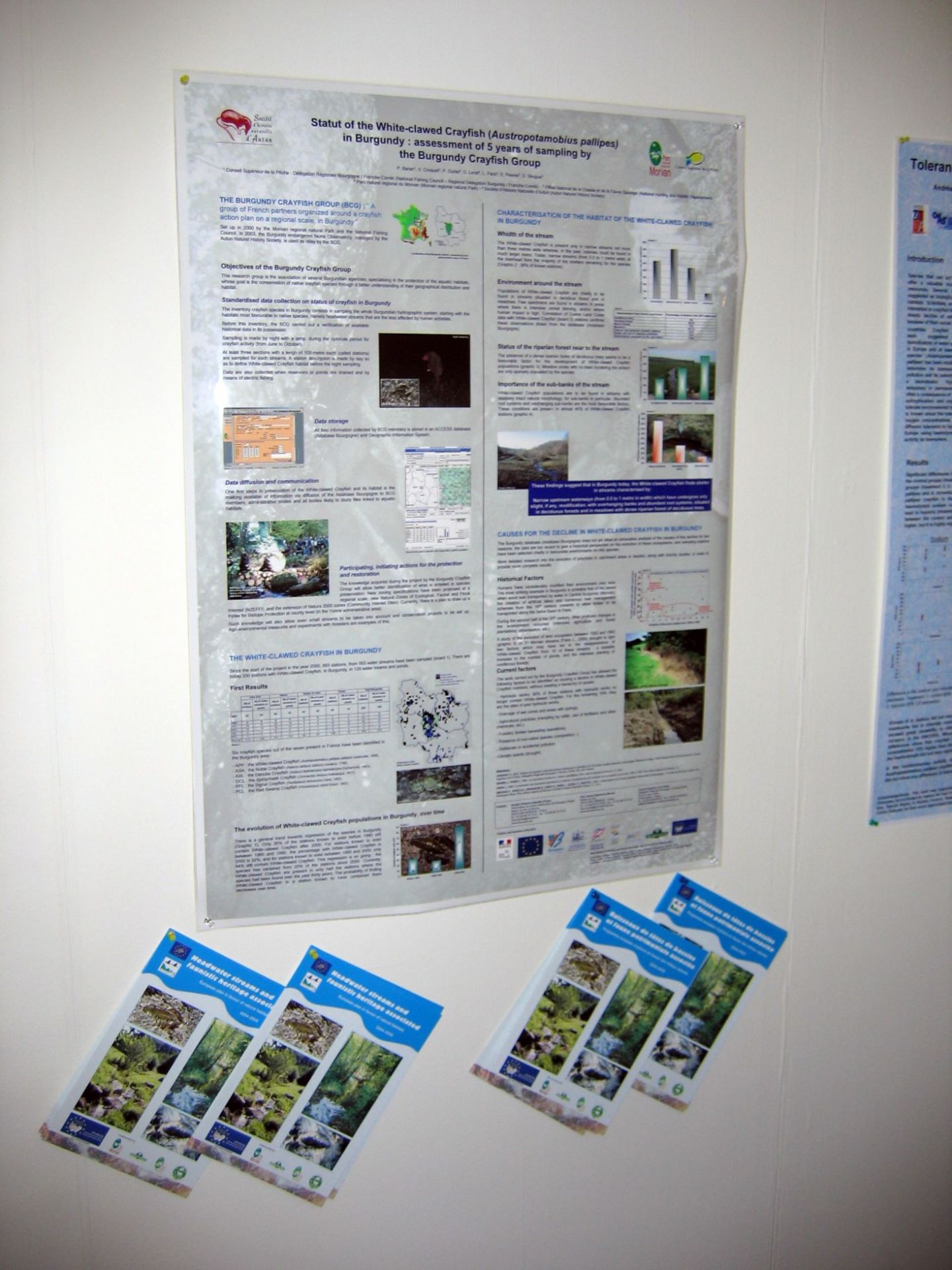 Poster scientifique sur l'écrevisse à pattes blanches © SHNA