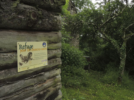 Un refuge pour les chauves-souris conventionné à Marcellois © SHNA-OFAB