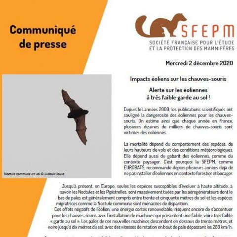 Communiqué SFEPM