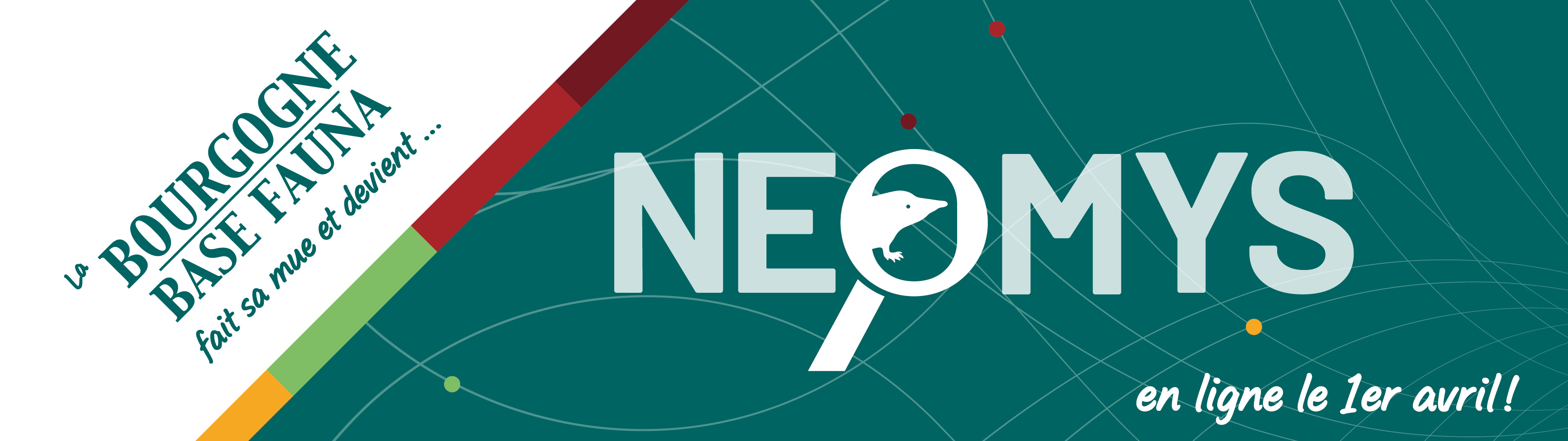 Société d'histoire naturelle d'Autun-Observatoire de la faune de Bourgogne