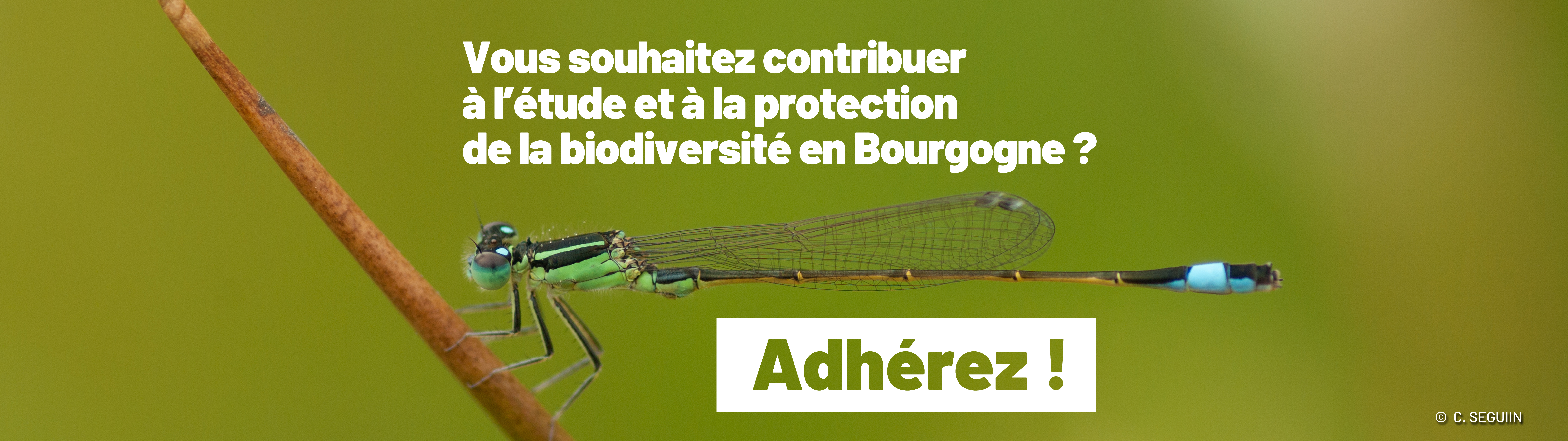 Société d'histoire naturelle d'Autun-Observatoire de la faune de Bourgogne